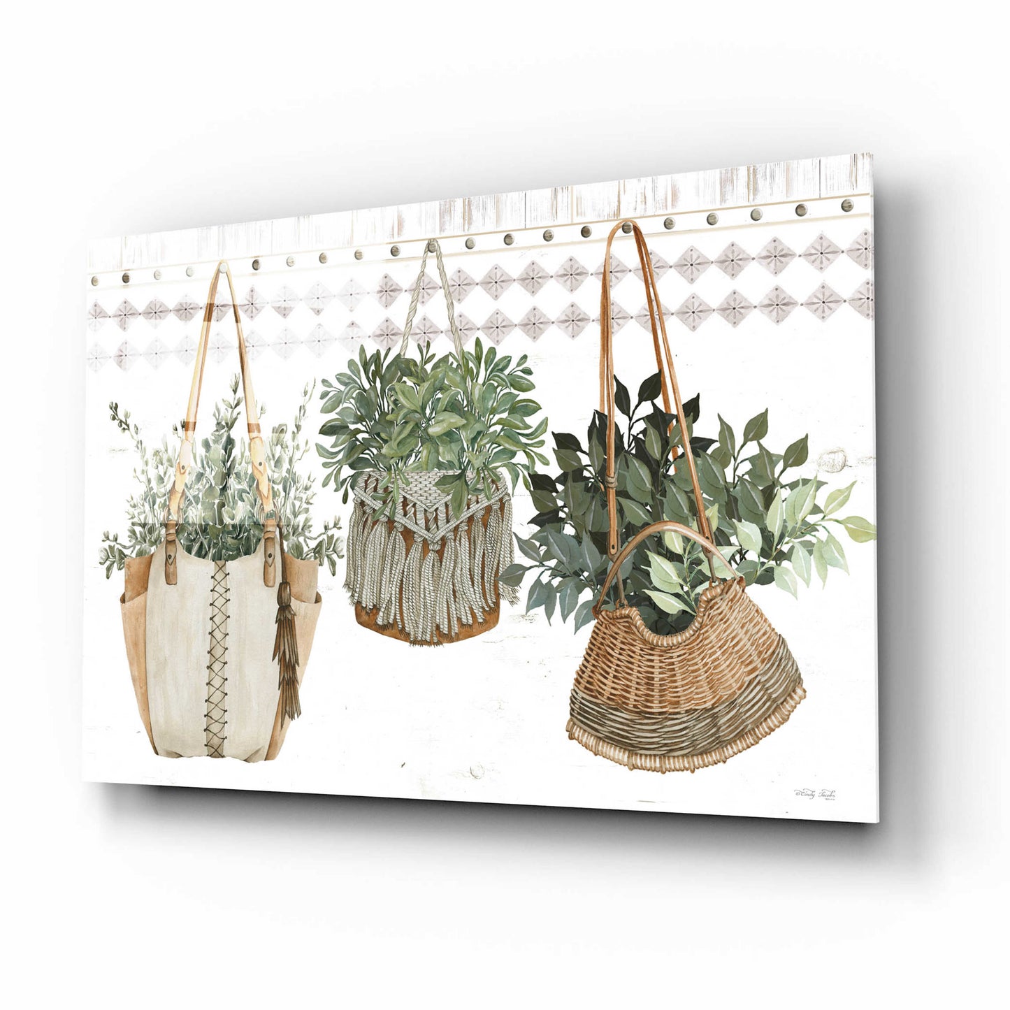 Epic Art 'Plant Purses' by Cindy Jacobs, Acrylic Glass Wall Art,16x12