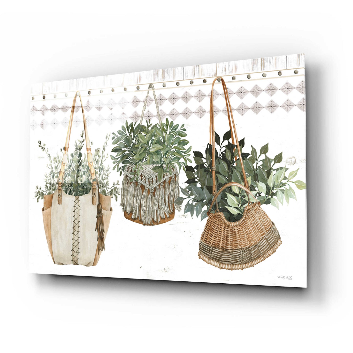 Epic Art 'Plant Purses' by Cindy Jacobs, Acrylic Glass Wall Art,24x16