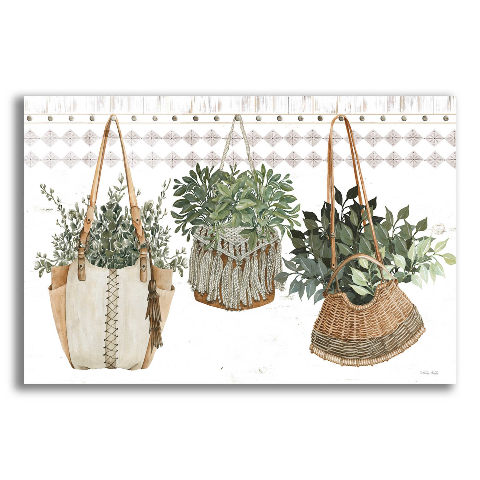 Epic Art 'Plant Purses' by Cindy Jacobs, Acrylic Glass Wall Art