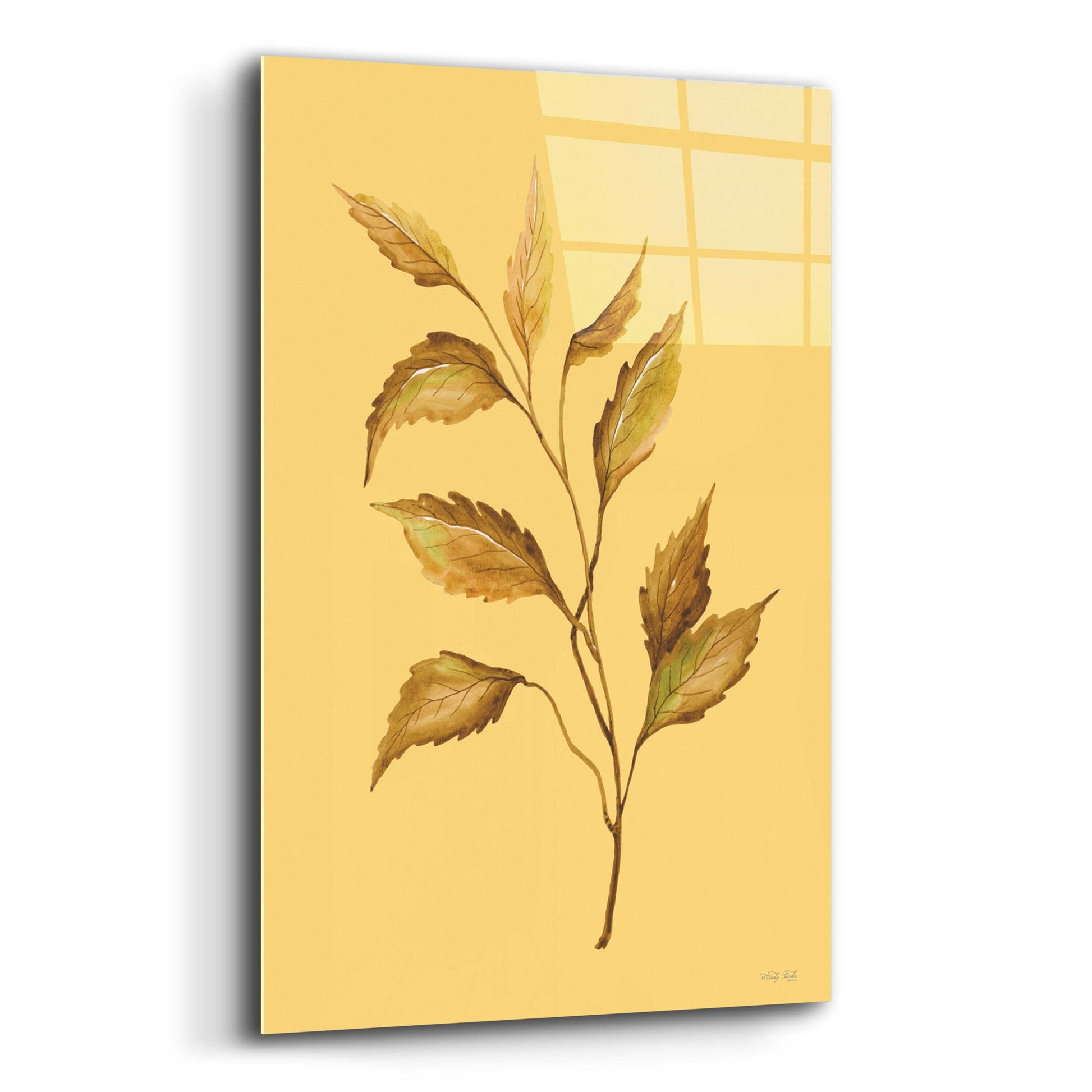 Epic Art 'Golden Leaves' by Cindy Jacobs, Acrylic Glass Wall Art,12x16