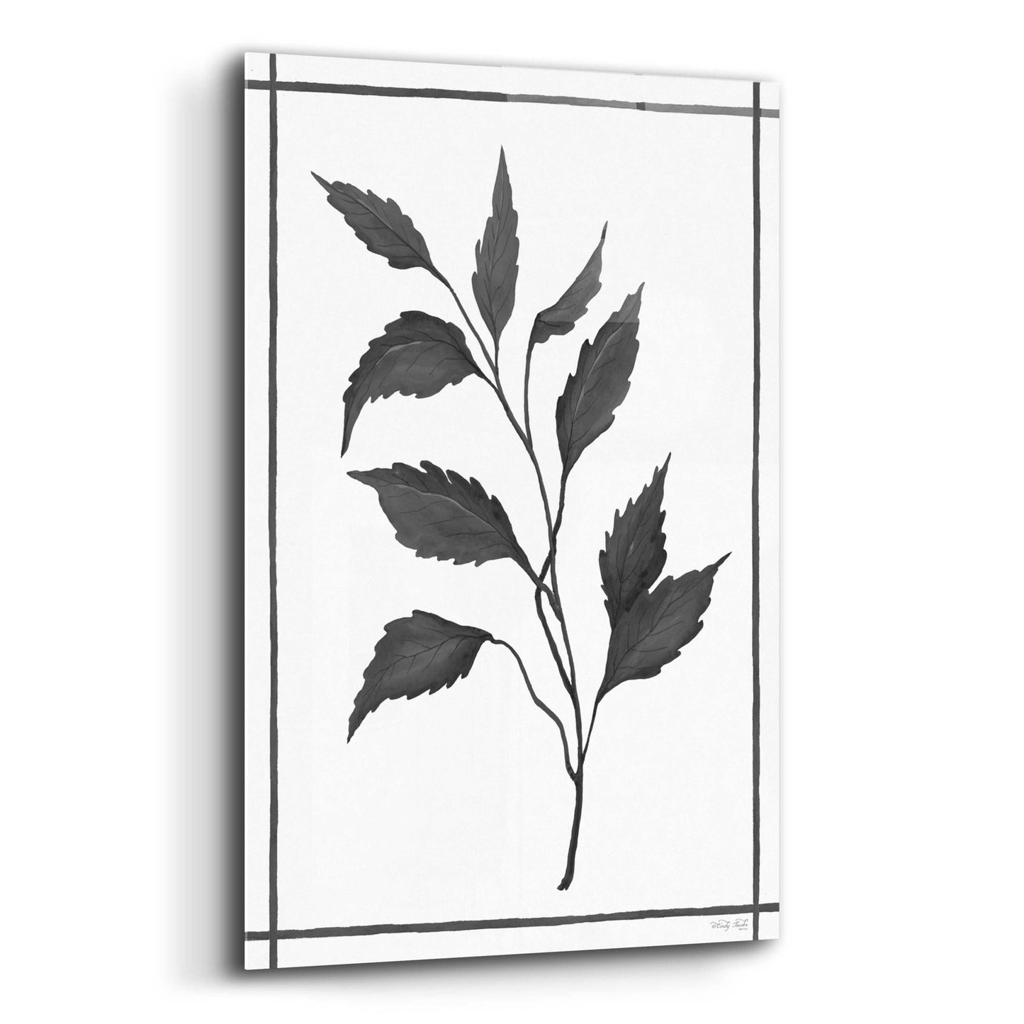 Epic Art 'Leaf Collection III' by Cindy Jacobs, Acrylic Glass Wall Art,12x16