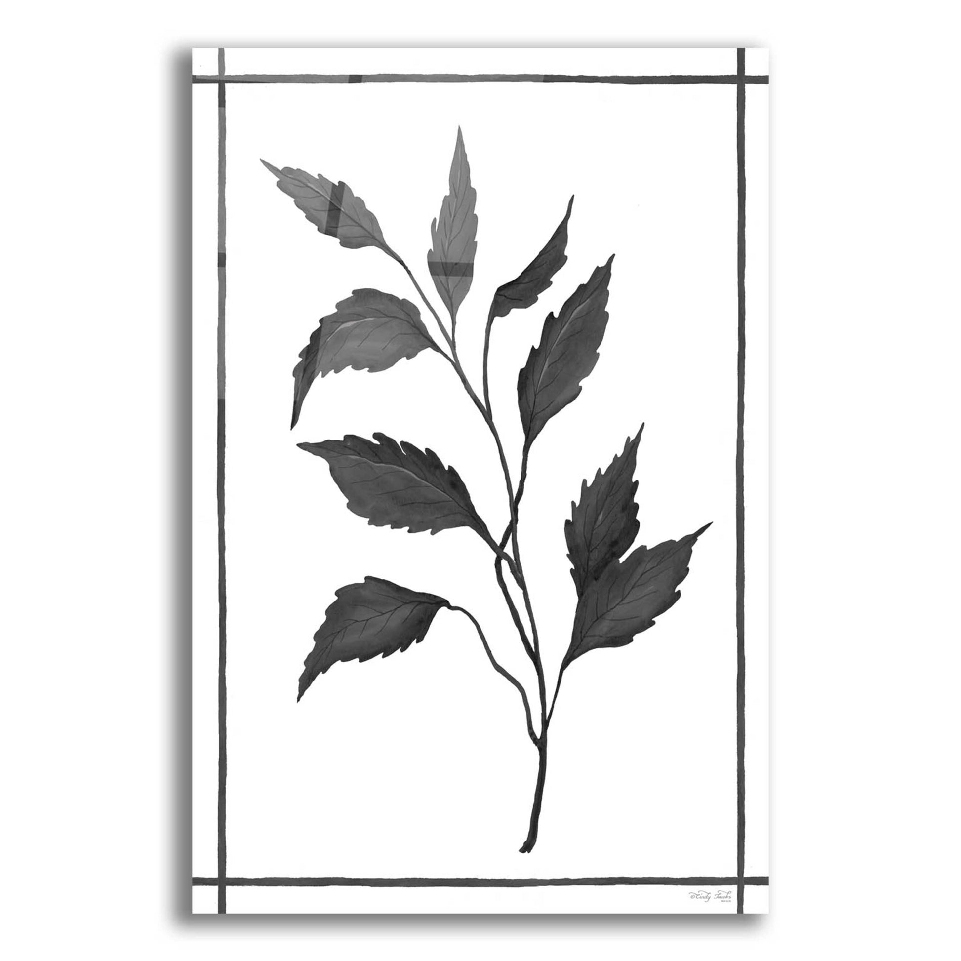 Epic Art 'Leaf Collection III' by Cindy Jacobs, Acrylic Glass Wall Art,12x16