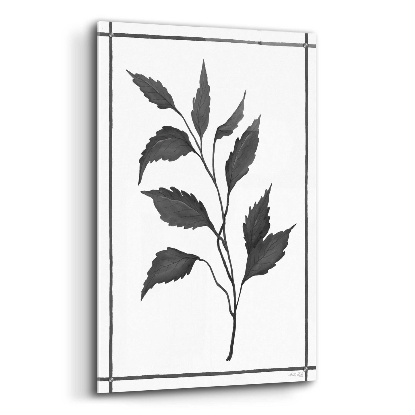 Epic Art 'Leaf Collection III' by Cindy Jacobs, Acrylic Glass Wall Art,24x36