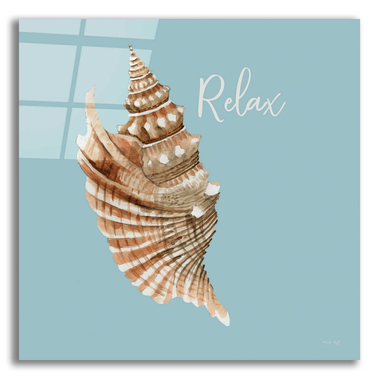 Epic Art 'Relax Seashell' by Cindy Jacobs, Acrylic Glass Wall Art,12x12