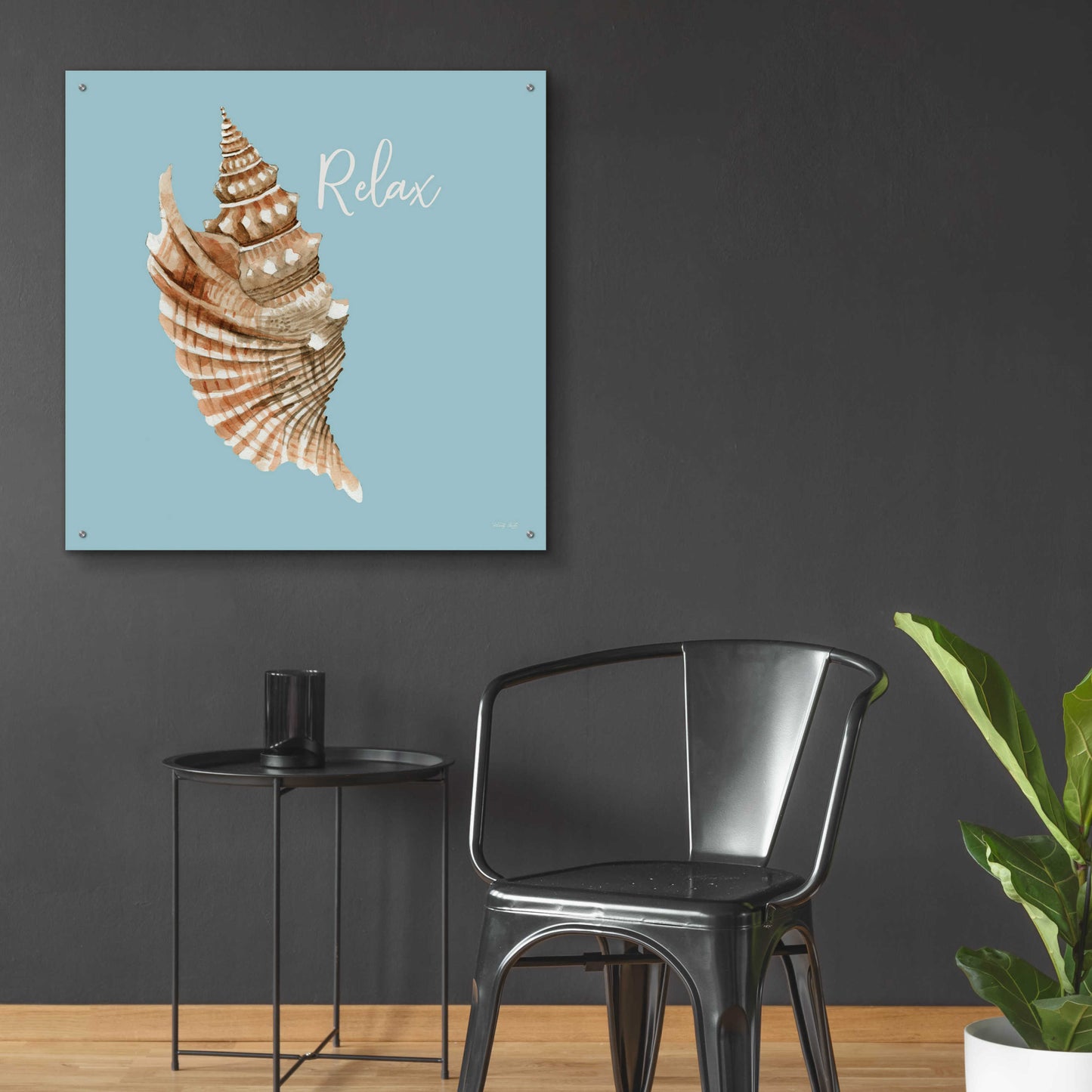 Epic Art 'Relax Seashell' by Cindy Jacobs, Acrylic Glass Wall Art,36x36