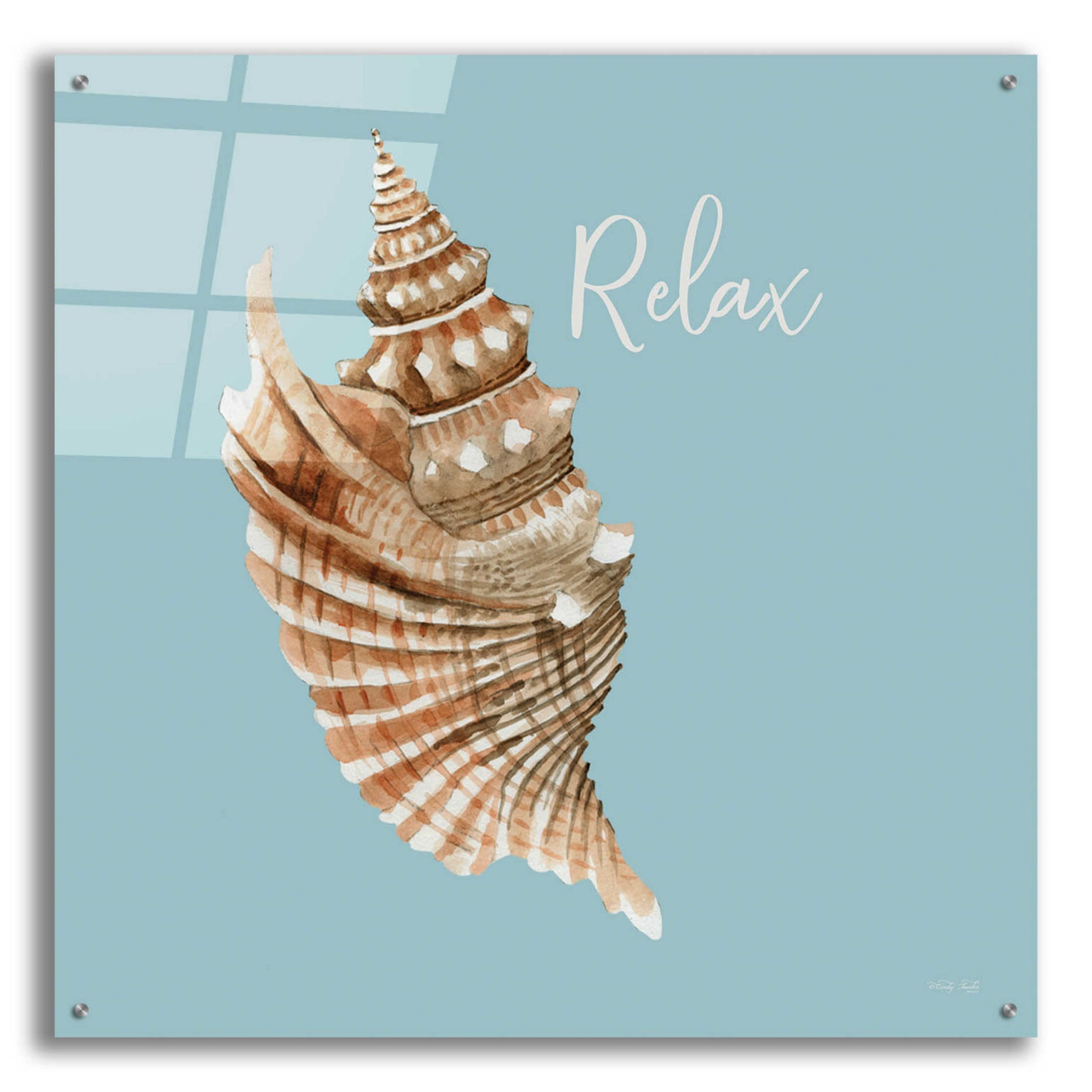 Epic Art 'Relax Seashell' by Cindy Jacobs, Acrylic Glass Wall Art,36x36