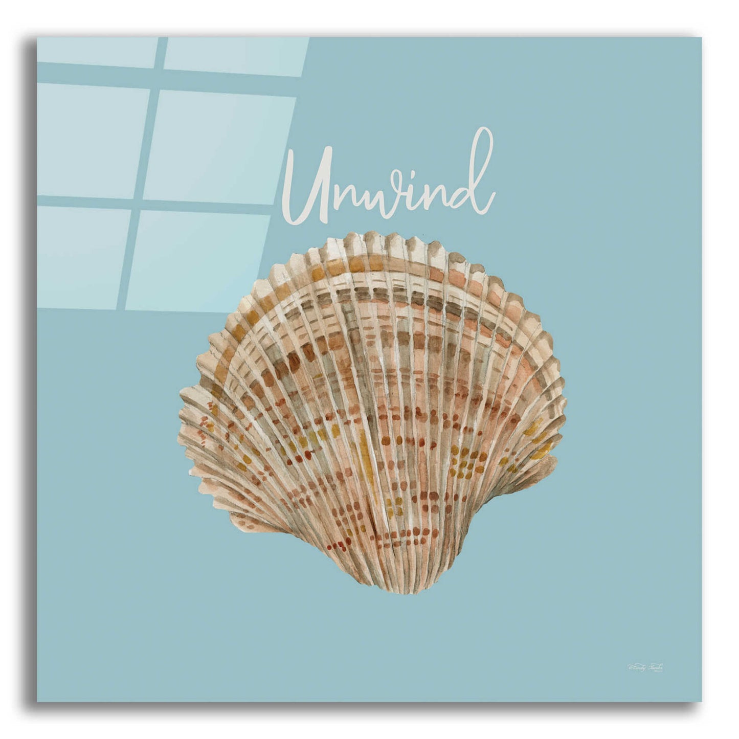 Epic Art 'Unwind Seashell' by Cindy Jacobs, Acrylic Glass Wall Art