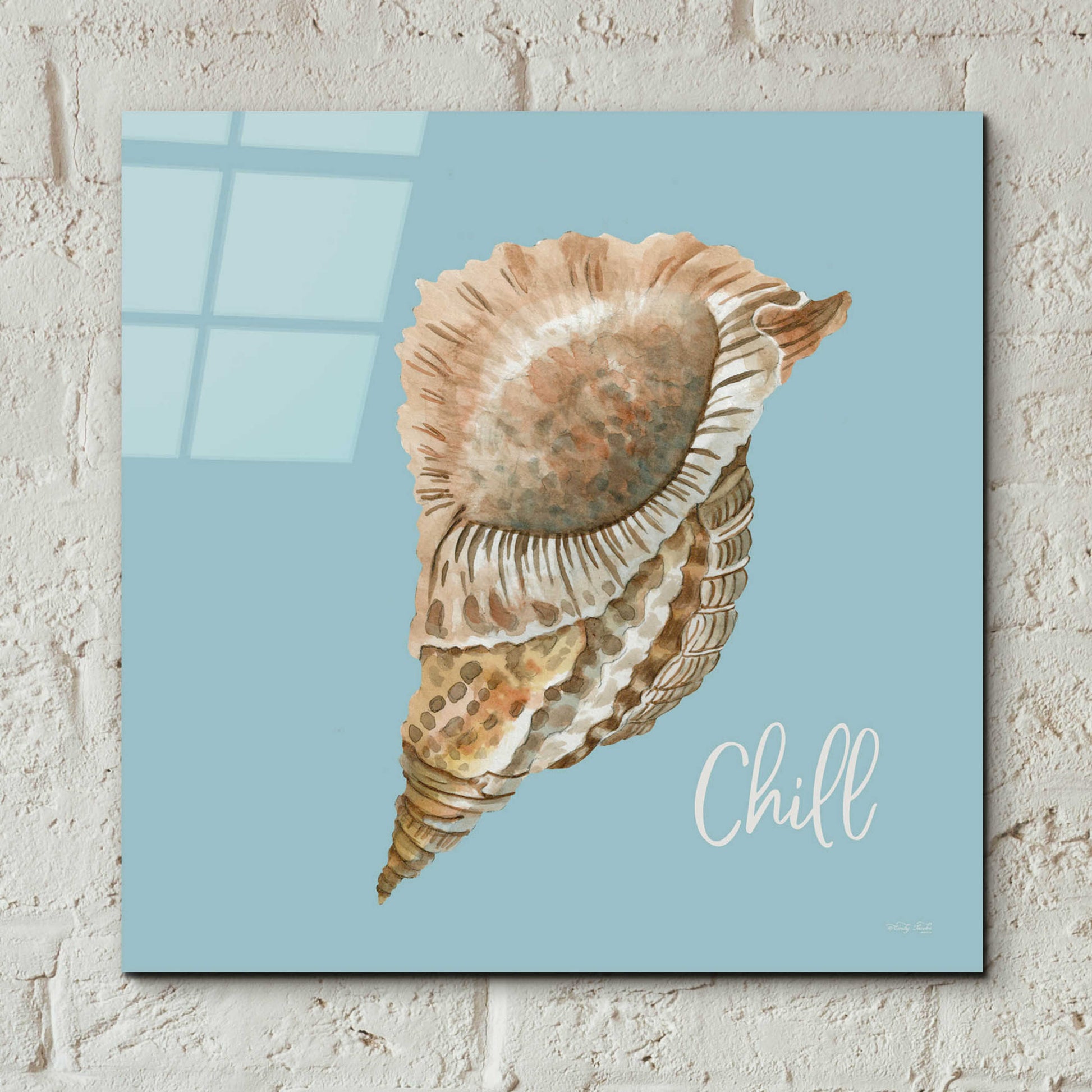 Epic Art 'Chill Seashell' by Cindy Jacobs, Acrylic Glass Wall Art,12x12