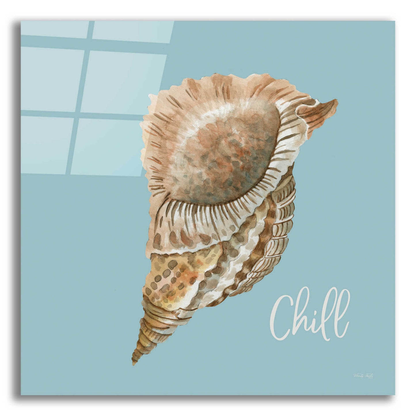 Epic Art 'Chill Seashell' by Cindy Jacobs, Acrylic Glass Wall Art,12x12