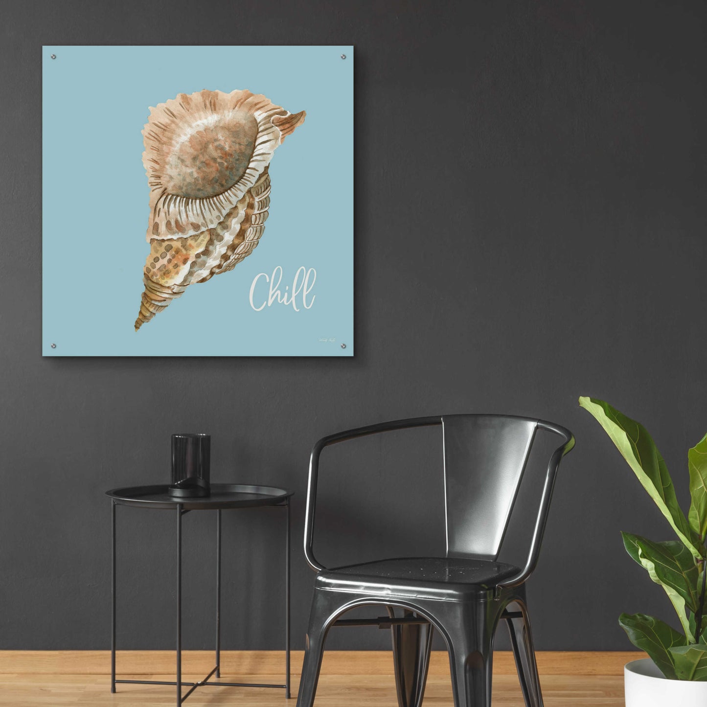 Epic Art 'Chill Seashell' by Cindy Jacobs, Acrylic Glass Wall Art,36x36