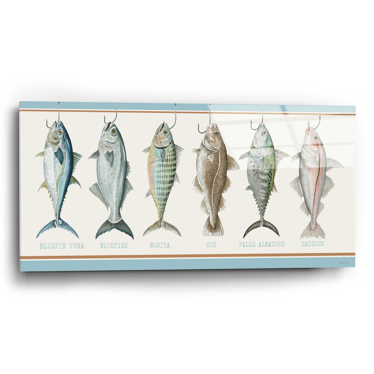 Epic Art 'Bunch of Fish' by Cindy Jacobs, Acrylic Glass Wall Art,24x12