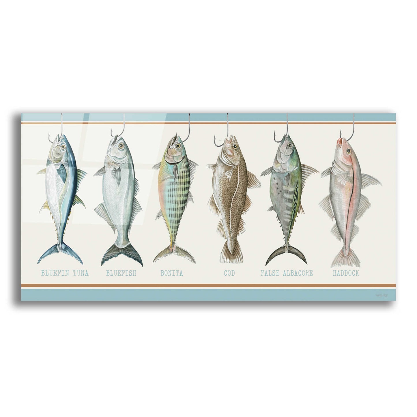 Epic Art 'Bunch of Fish' by Cindy Jacobs, Acrylic Glass Wall Art,24x12