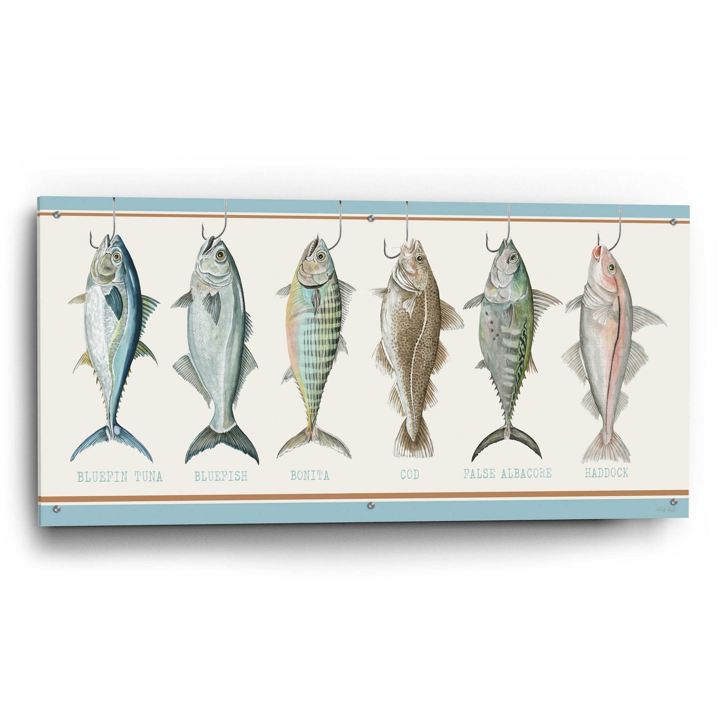 Epic Art 'Bunch of Fish' by Cindy Jacobs, Acrylic Glass Wall Art,48x24