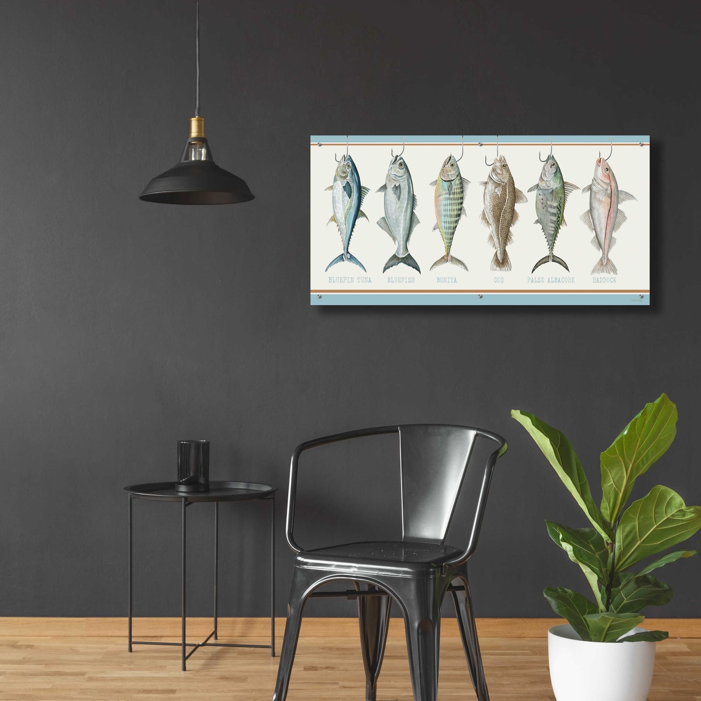 Epic Art 'Bunch of Fish' by Cindy Jacobs, Acrylic Glass Wall Art,48x24