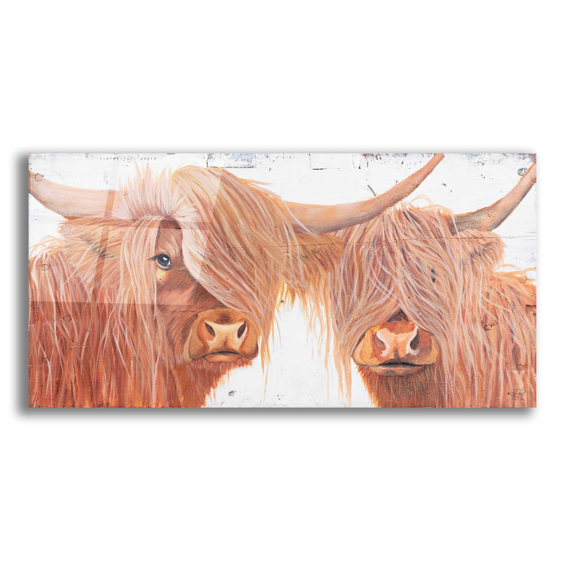 Epic Art 'Highland Pair' by Diane Fifer, Acrylic Glass Wall Art,24x12