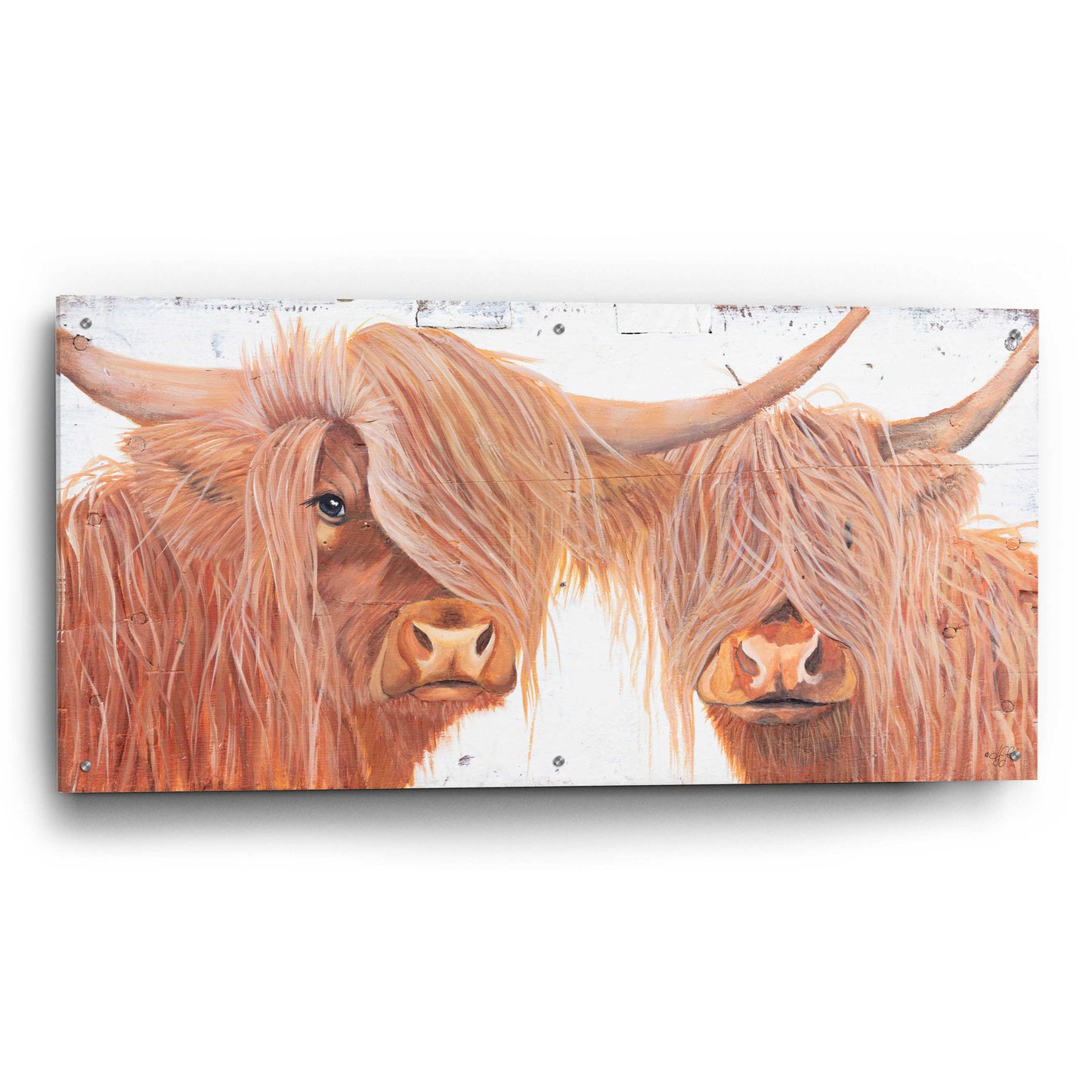 Epic Art 'Highland Pair' by Diane Fifer, Acrylic Glass Wall Art,48x24