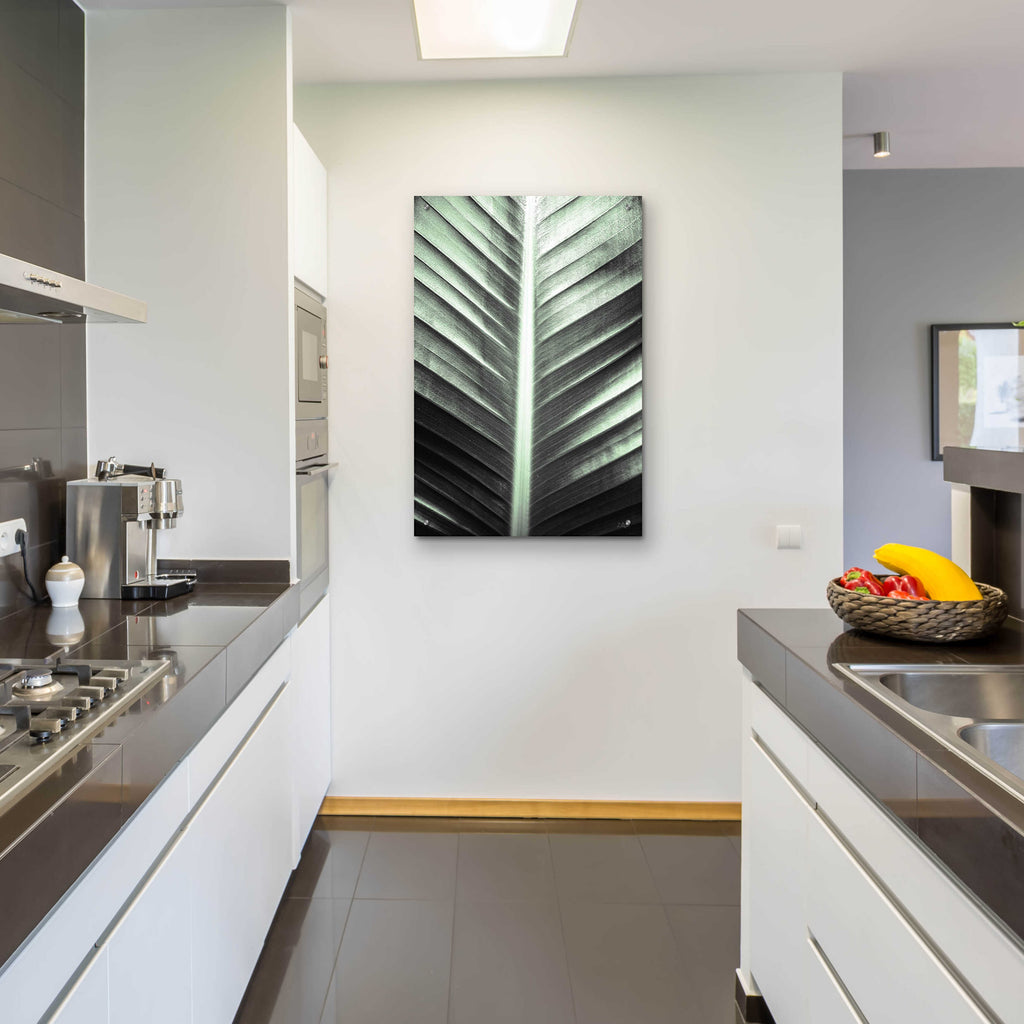Epic Art 'Leaf Lines' by Donnie Quillen, Acrylic Glass Wall Art,24x36