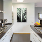 Epic Art 'Leaf Lines' by Donnie Quillen, Acrylic Glass Wall Art,24x36