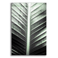 Epic Art 'Leaf Lines' by Donnie Quillen, Acrylic Glass Wall Art