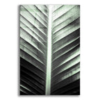 Epic Art 'Leaf Lines' by Donnie Quillen, Acrylic Glass Wall Art
