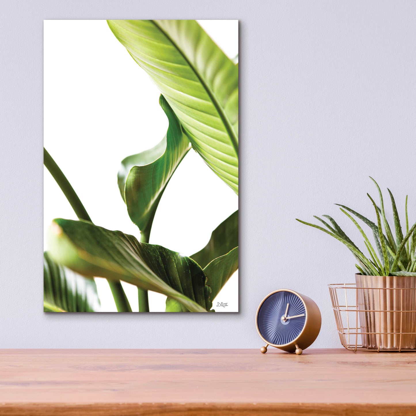 Epic Art 'Plant Leaves' by Donnie Quillen, Acrylic Glass Wall Art,12x16