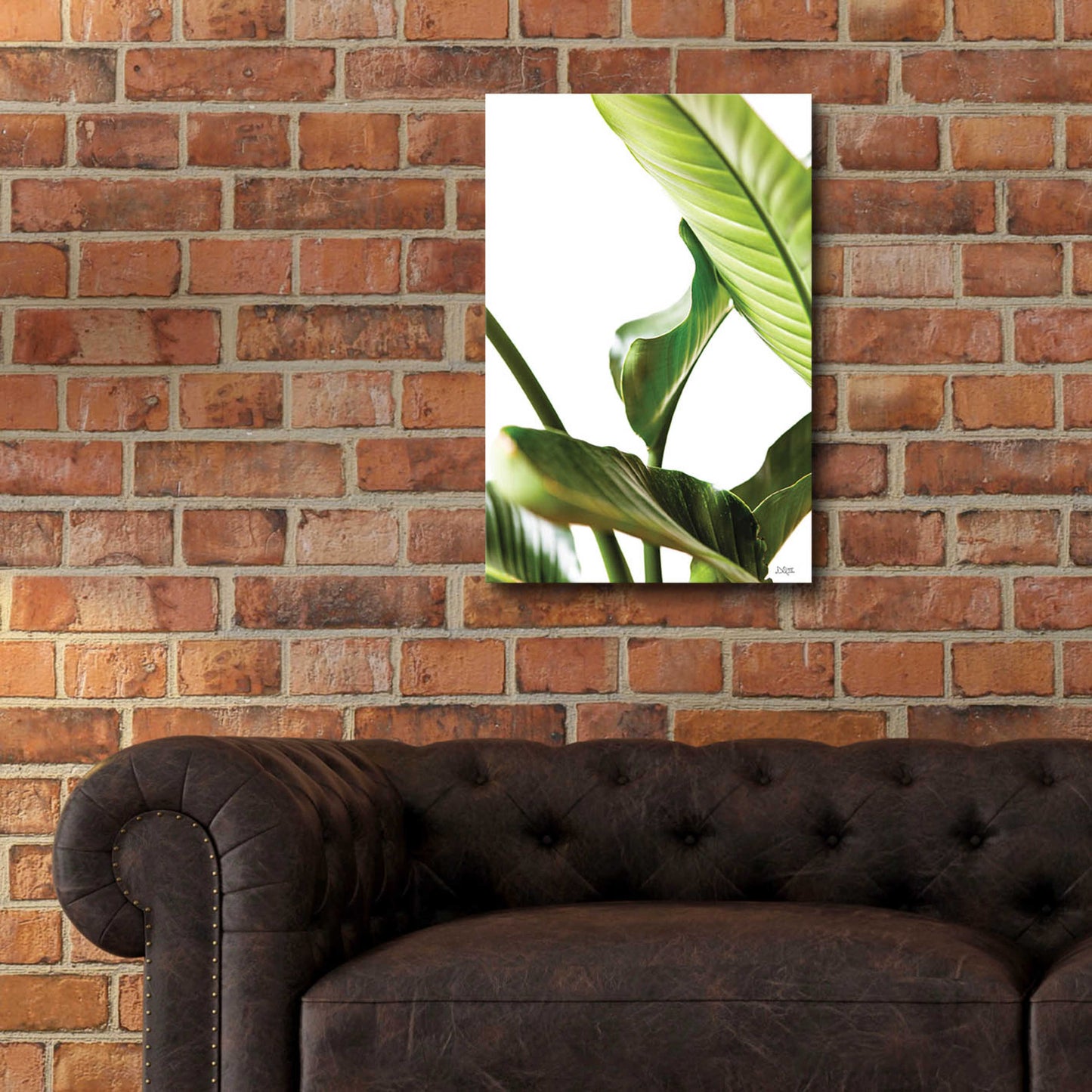 Epic Art 'Plant Leaves' by Donnie Quillen, Acrylic Glass Wall Art,16x24