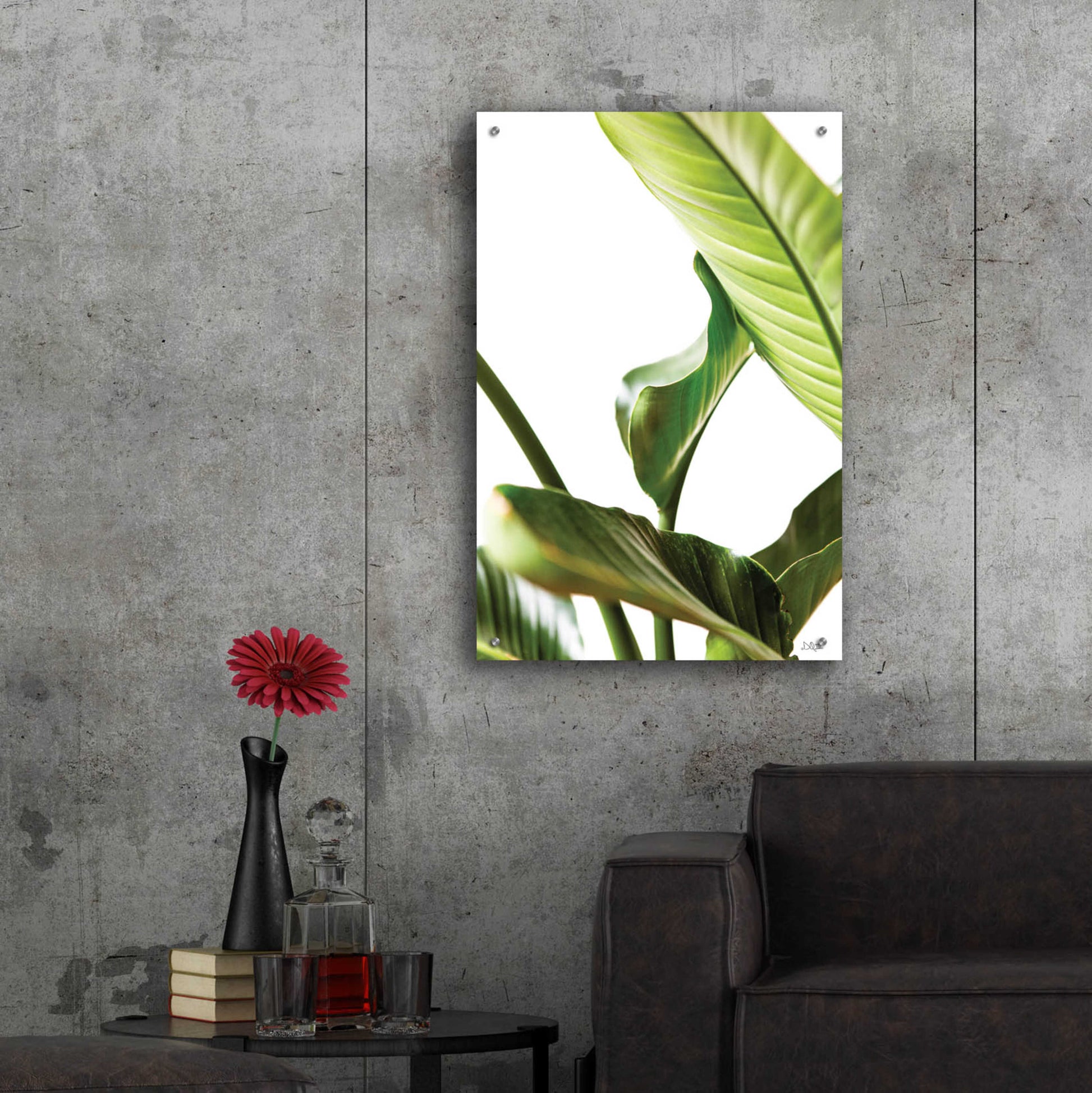 Epic Art 'Plant Leaves' by Donnie Quillen, Acrylic Glass Wall Art,24x36