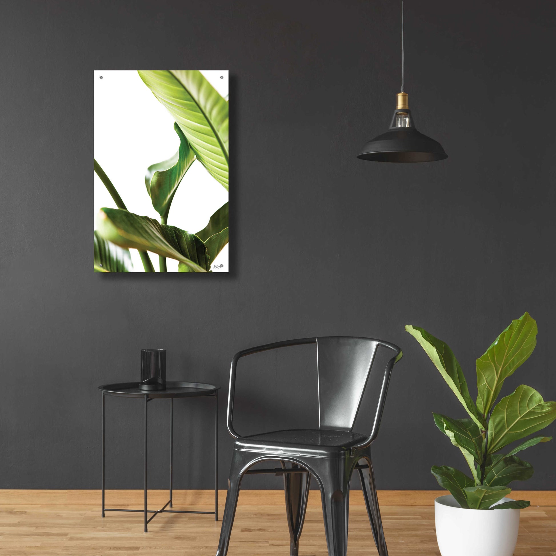 Epic Art 'Plant Leaves' by Donnie Quillen, Acrylic Glass Wall Art,24x36