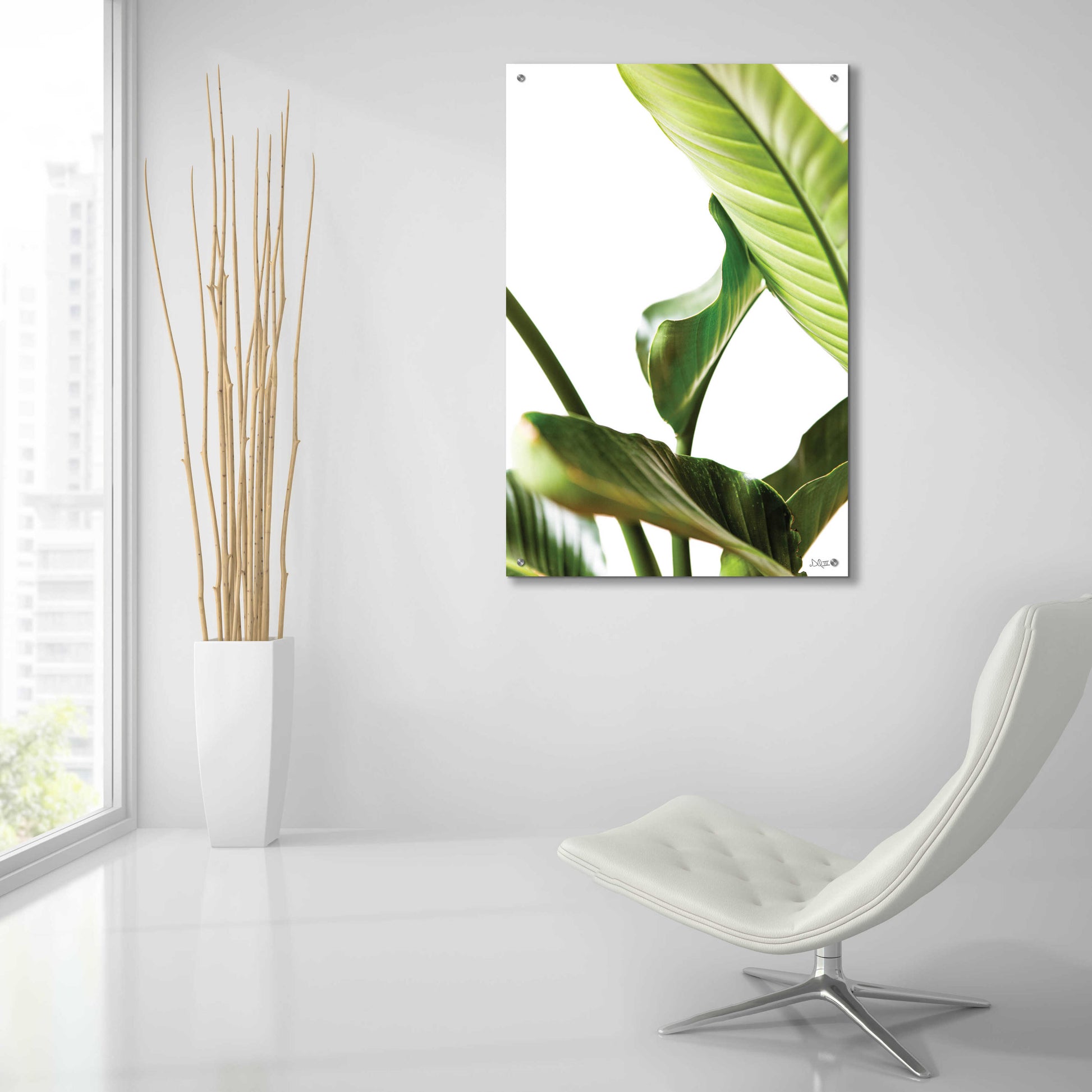 Epic Art 'Plant Leaves' by Donnie Quillen, Acrylic Glass Wall Art,24x36