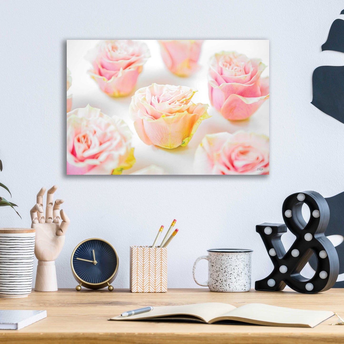 Epic Art 'Pale Pink Rose Blooms III' by Donnie Quillen, Acrylic Glass Wall Art,16x12