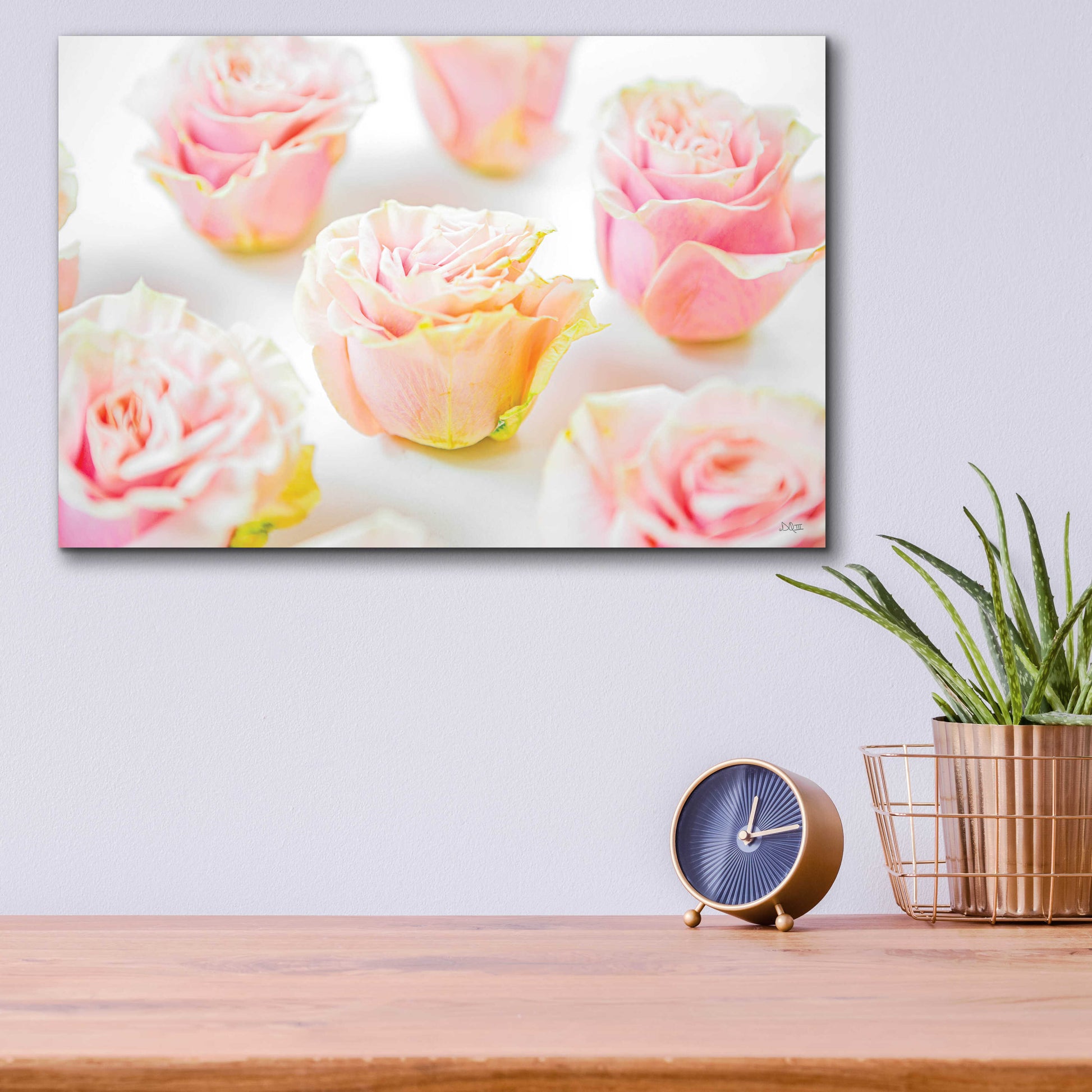 Epic Art 'Pale Pink Rose Blooms III' by Donnie Quillen, Acrylic Glass Wall Art,16x12