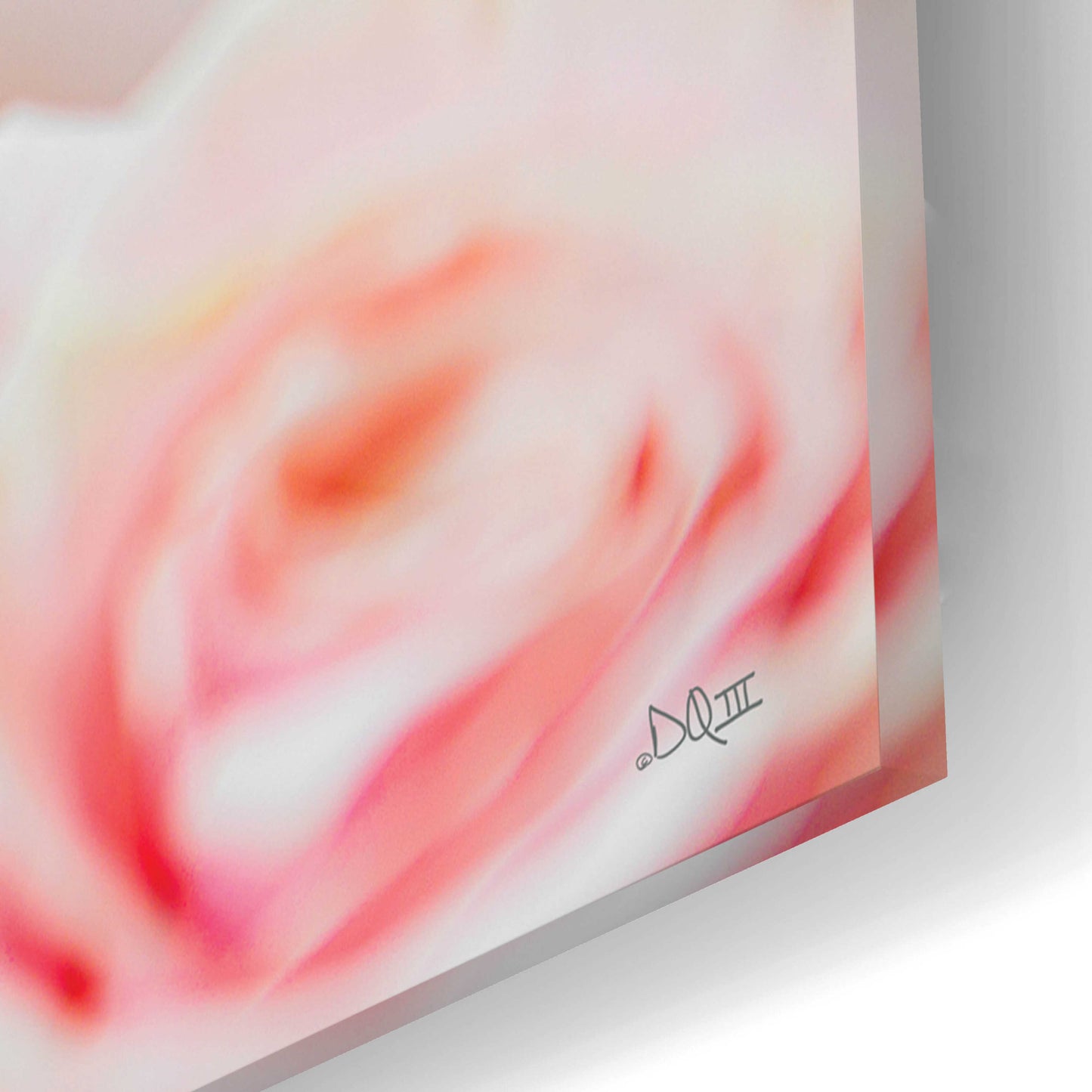 Epic Art 'Pale Pink Rose Blooms III' by Donnie Quillen, Acrylic Glass Wall Art,24x16