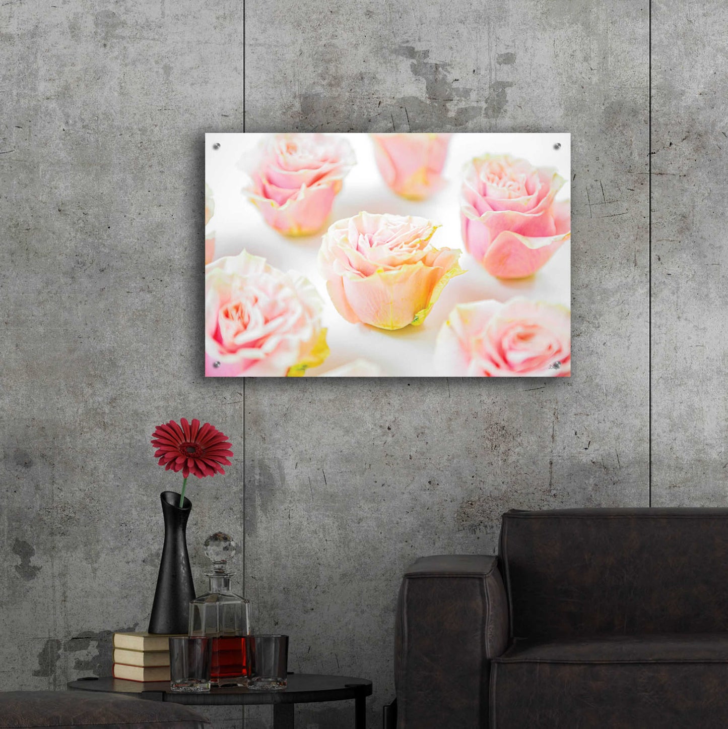 Epic Art 'Pale Pink Rose Blooms III' by Donnie Quillen, Acrylic Glass Wall Art,36x24