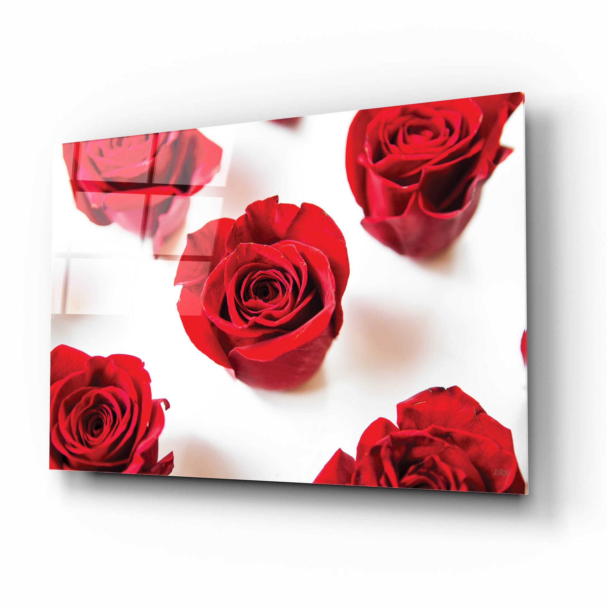 Epic Art 'Red Roses I' by Donnie Quillen, Acrylic Glass Wall Art,16x12