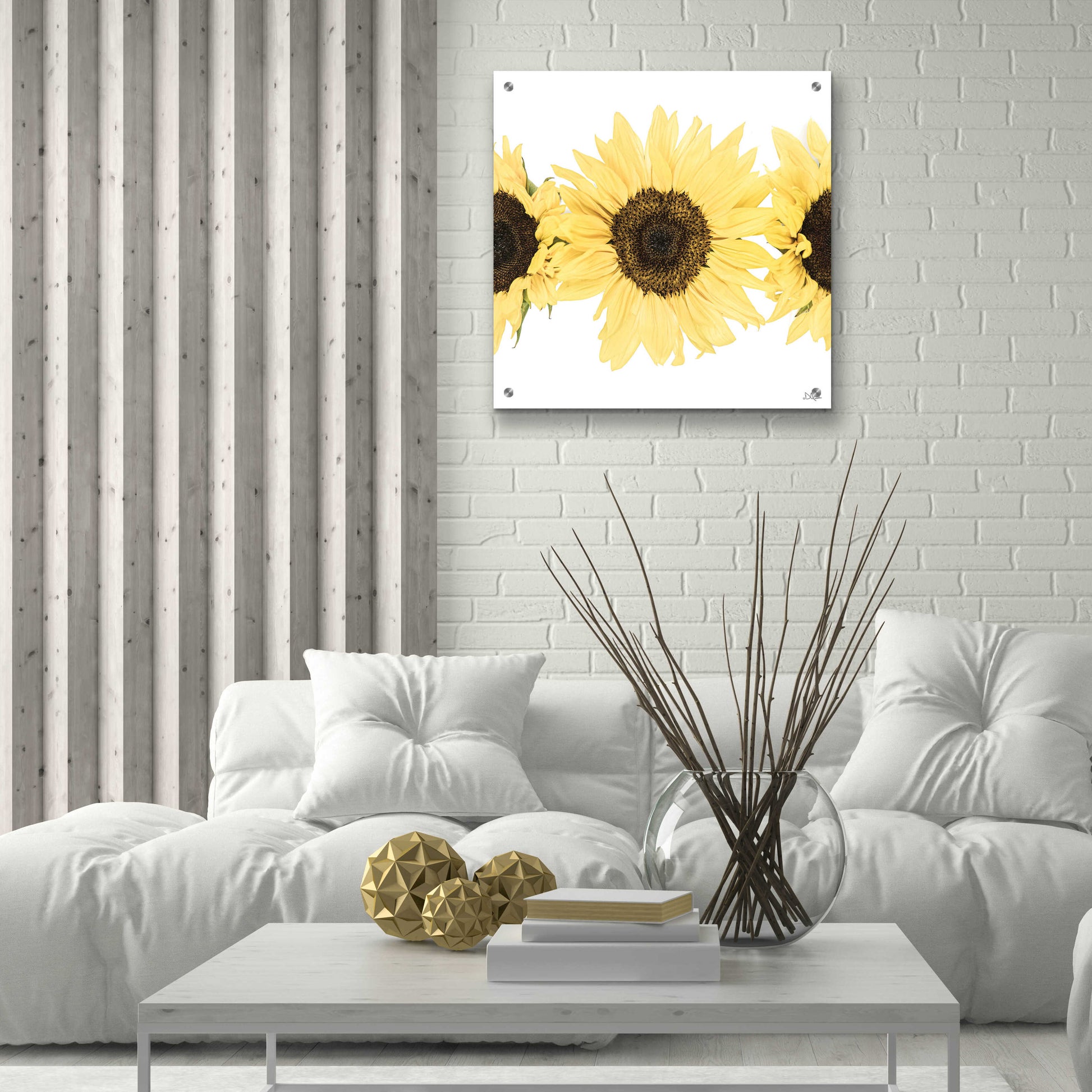 Epic Art 'Sunflowers in a Row I' by Donnie Quillen, Acrylic Glass Wall Art,24x24