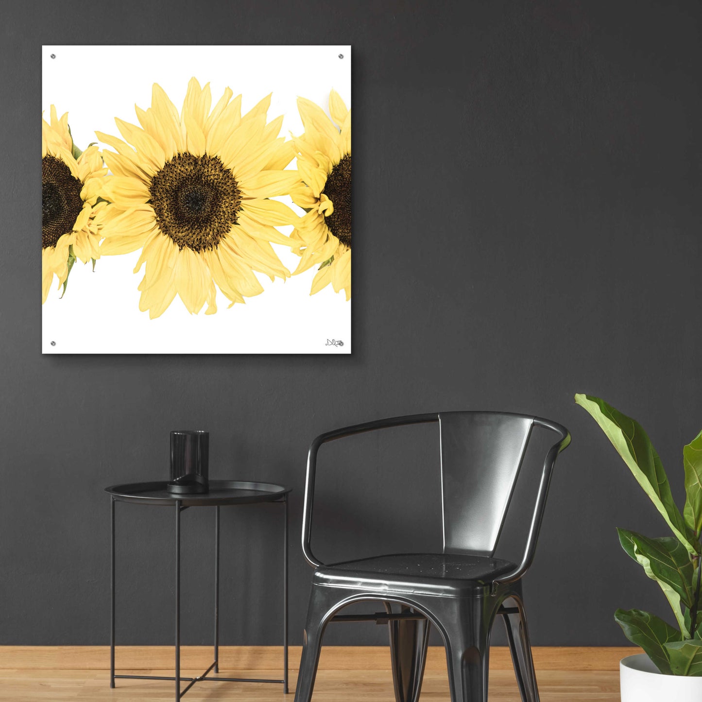 Epic Art 'Sunflowers in a Row I' by Donnie Quillen, Acrylic Glass Wall Art,36x36