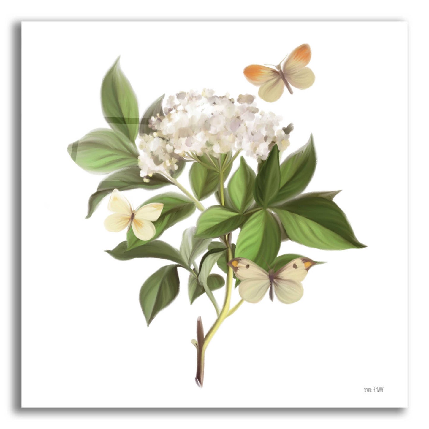 Epic Art 'Wildflowers and Butterflies II' by House Fenway, Acrylic Glass Wall Art,12x12