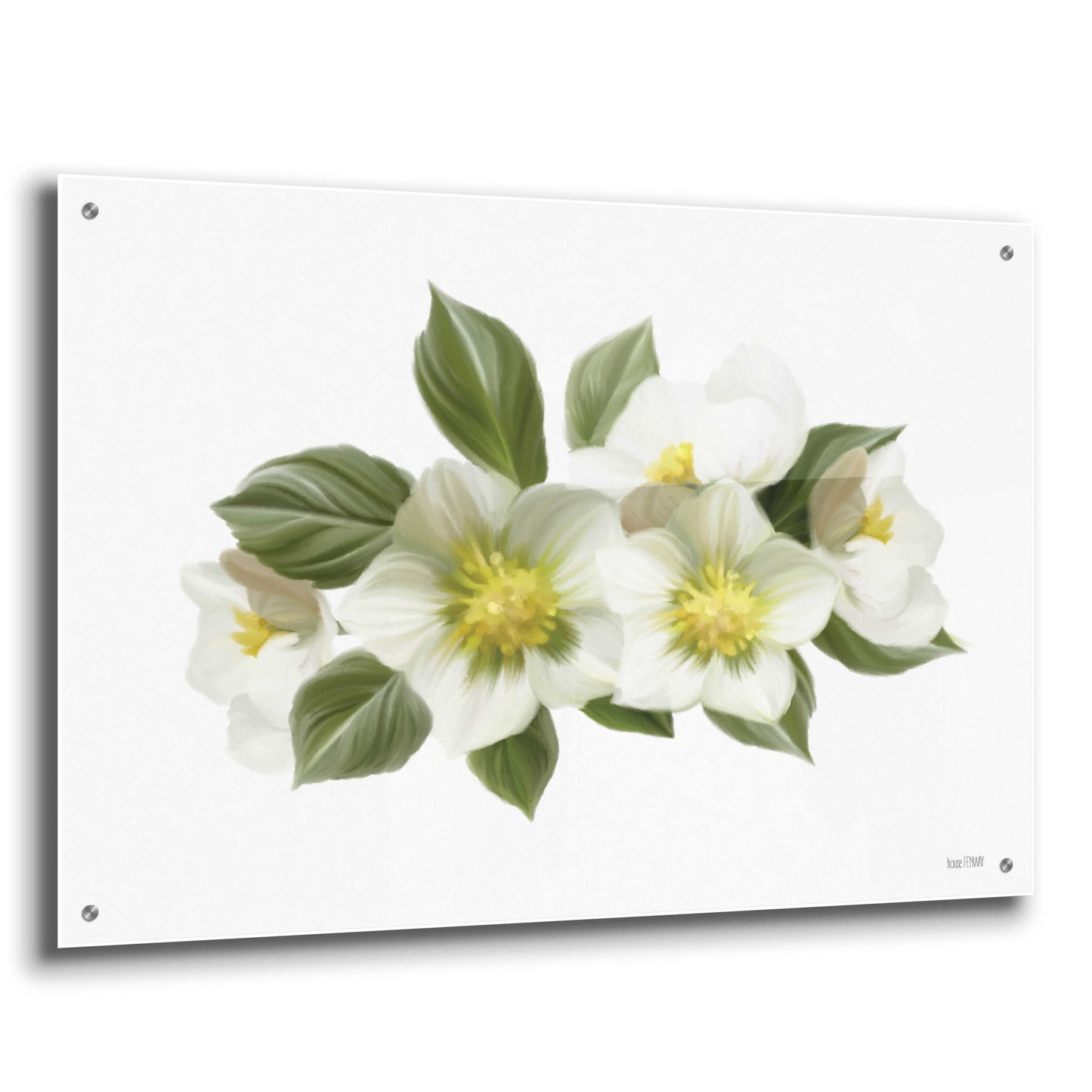 Epic Art 'White Wildflowers' by House Fenway, Acrylic Glass Wall Art,36x24