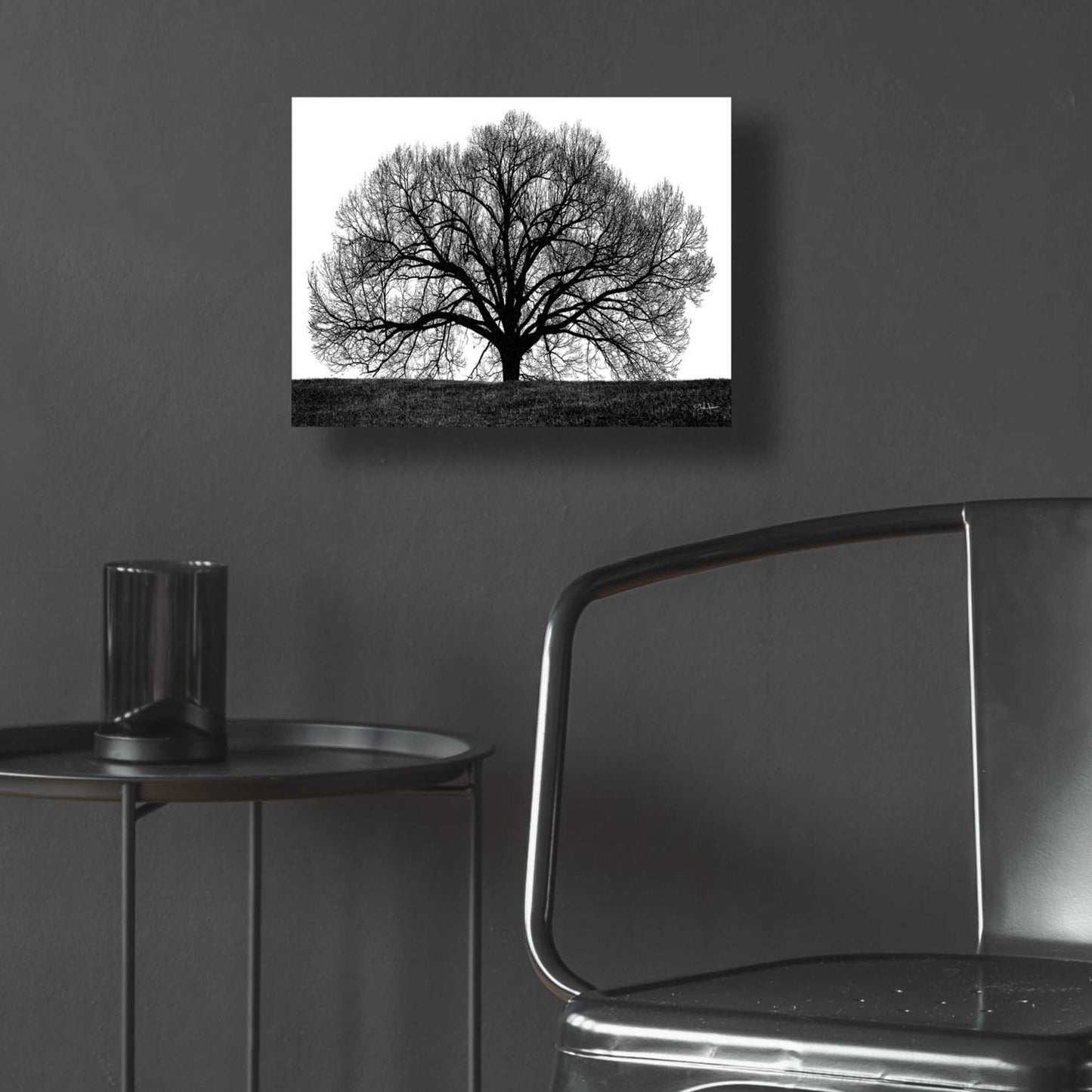 Epic Art 'The Tree' by John Jones, Acrylic Glass Wall Art,16x12