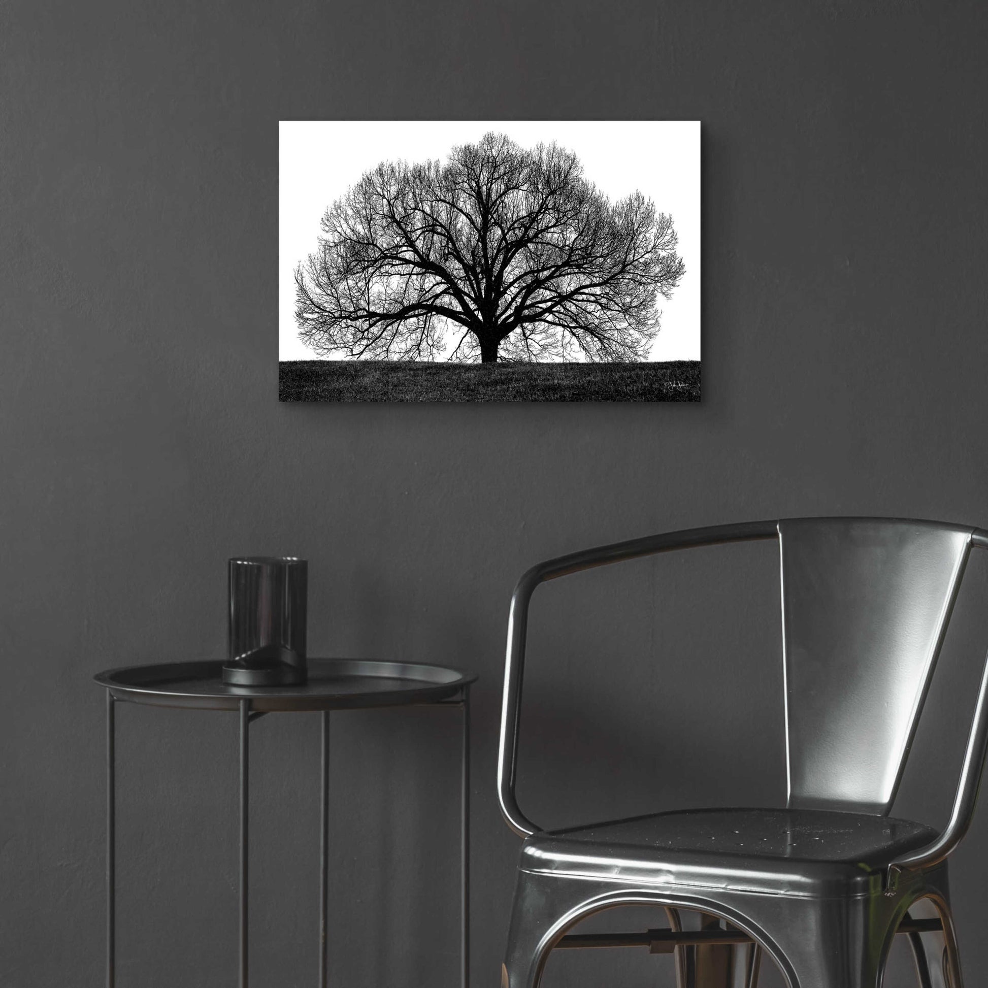 Epic Art 'The Tree' by John Jones, Acrylic Glass Wall Art,24x16