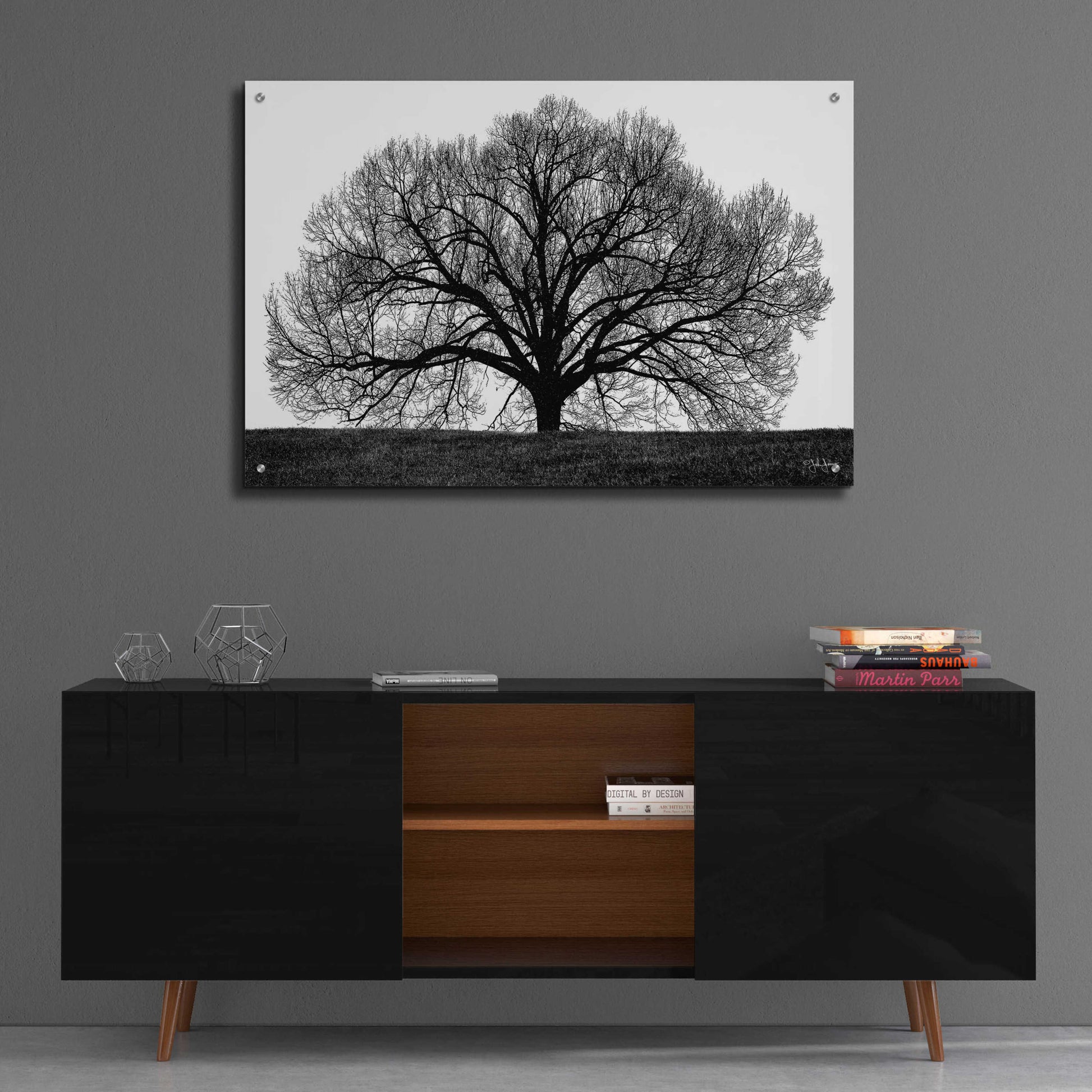 Epic Art 'The Tree' by John Jones, Acrylic Glass Wall Art,36x24