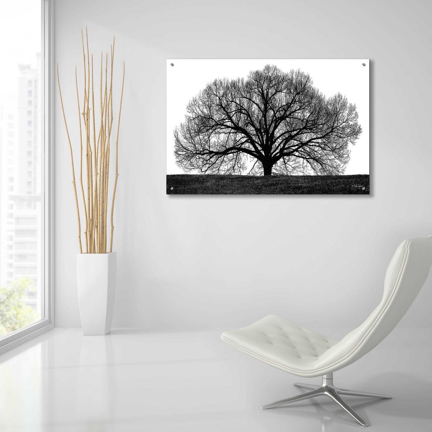 Epic Art 'The Tree' by John Jones, Acrylic Glass Wall Art,36x24