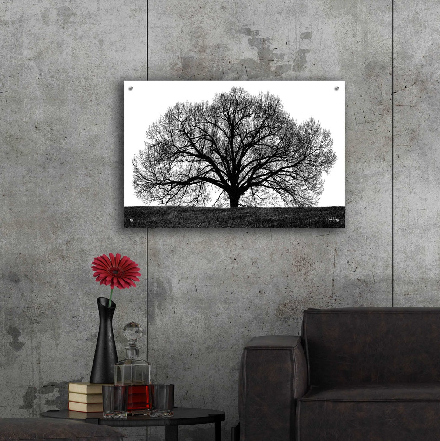 Epic Art 'The Tree' by John Jones, Acrylic Glass Wall Art,36x24