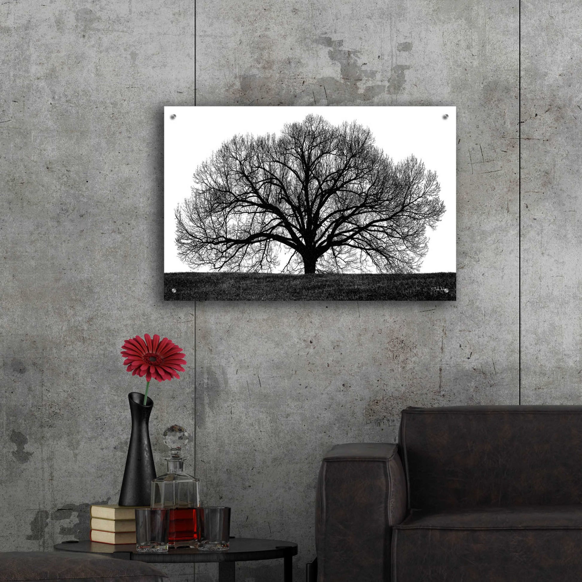 Epic Art 'The Tree' by John Jones, Acrylic Glass Wall Art,36x24