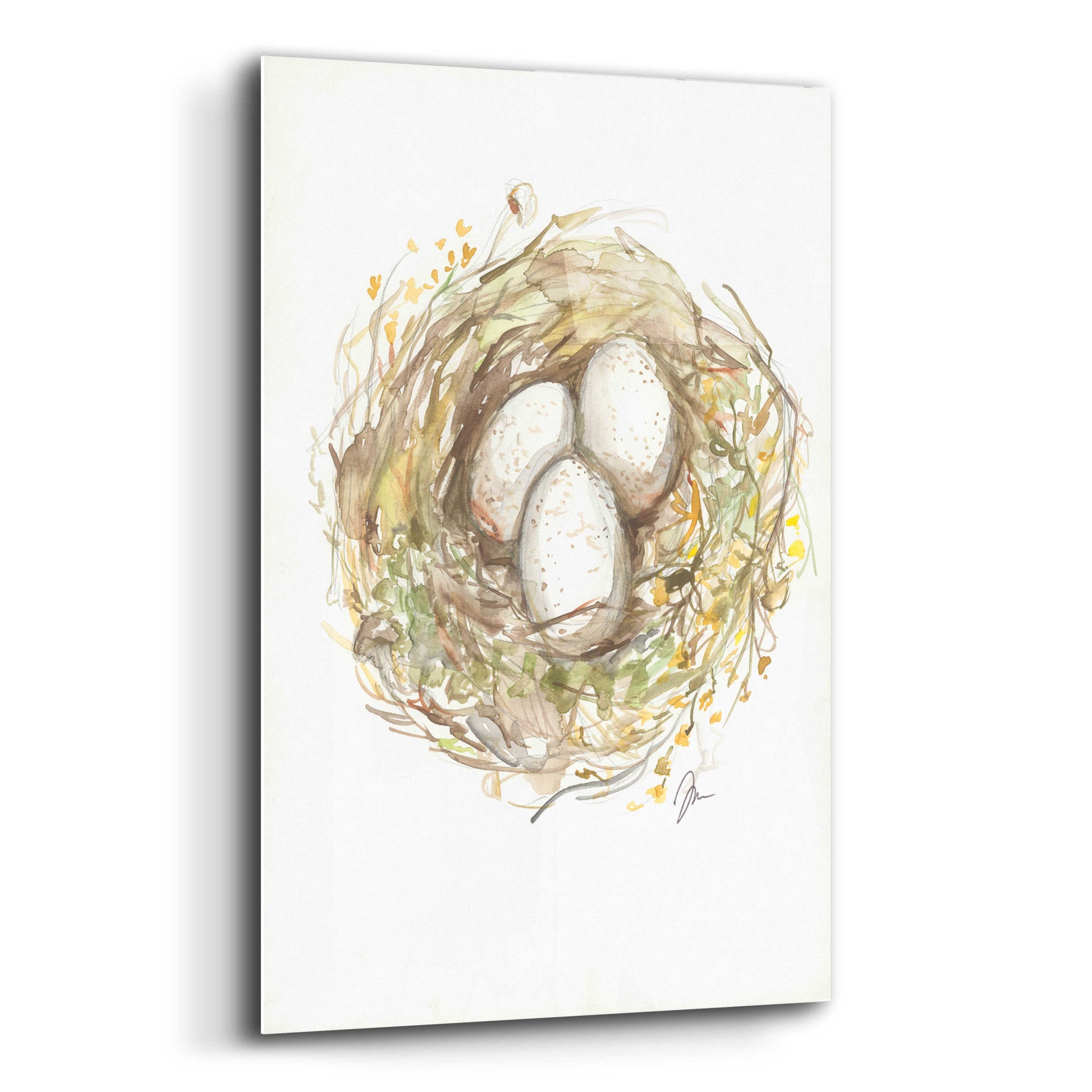 Epic Art 'Nest of Love' by Jessica Mingo, Acrylic Glass Wall Art,12x16