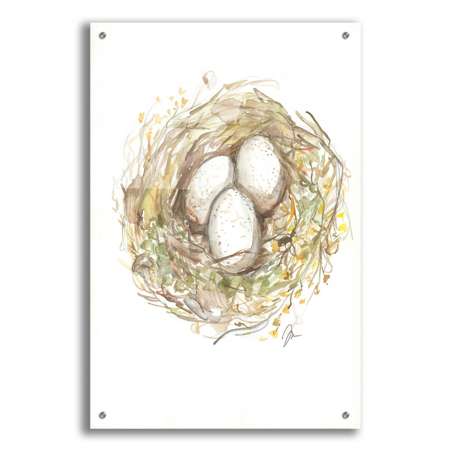 Epic Art 'Nest of Love' by Jessica Mingo, Acrylic Glass Wall Art,24x36