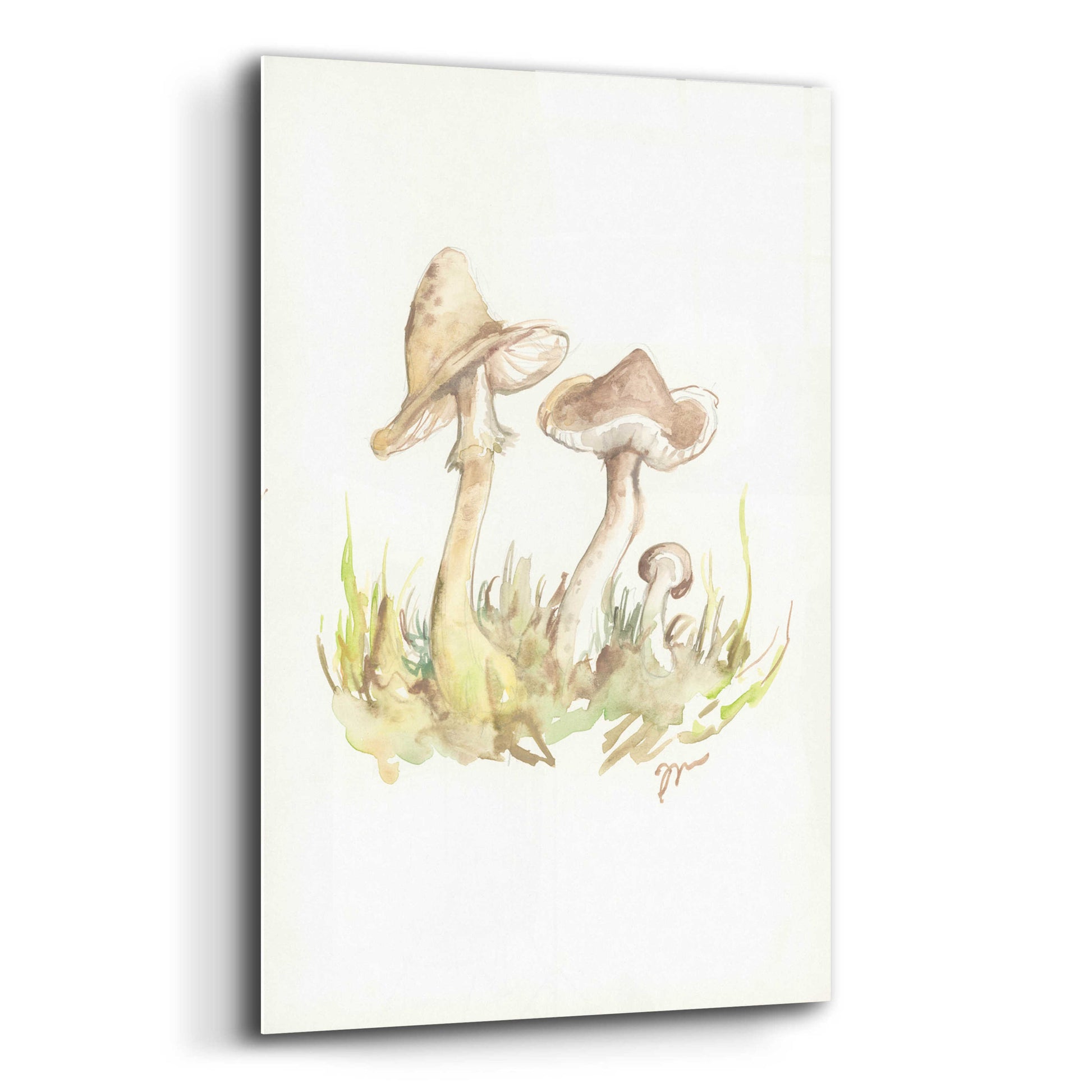 Epic Art 'Fall Mushrooms' by Jessica Mingo, Acrylic Glass Wall Art,12x16