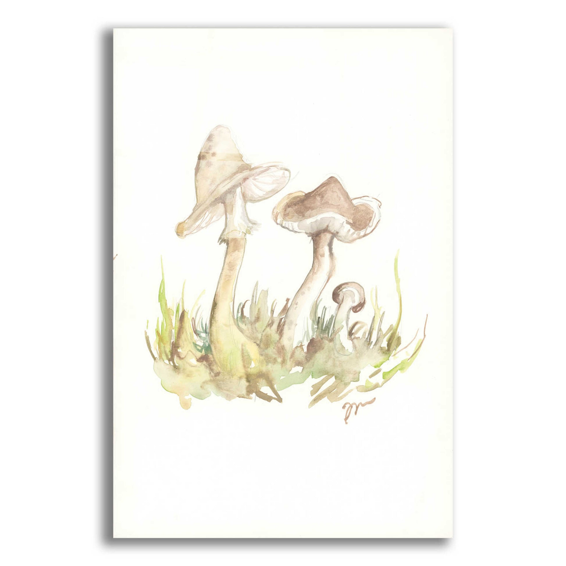 Epic Art 'Fall Mushrooms' by Jessica Mingo, Acrylic Glass Wall Art,12x16