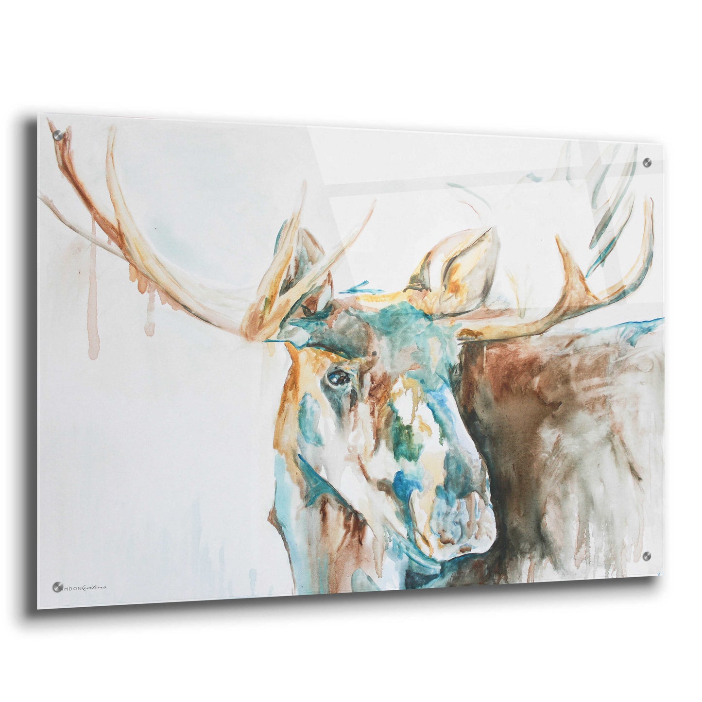 Epic Art 'Water Moose' by Kamdon Kreations, Acrylic Glass Wall Art,36x24