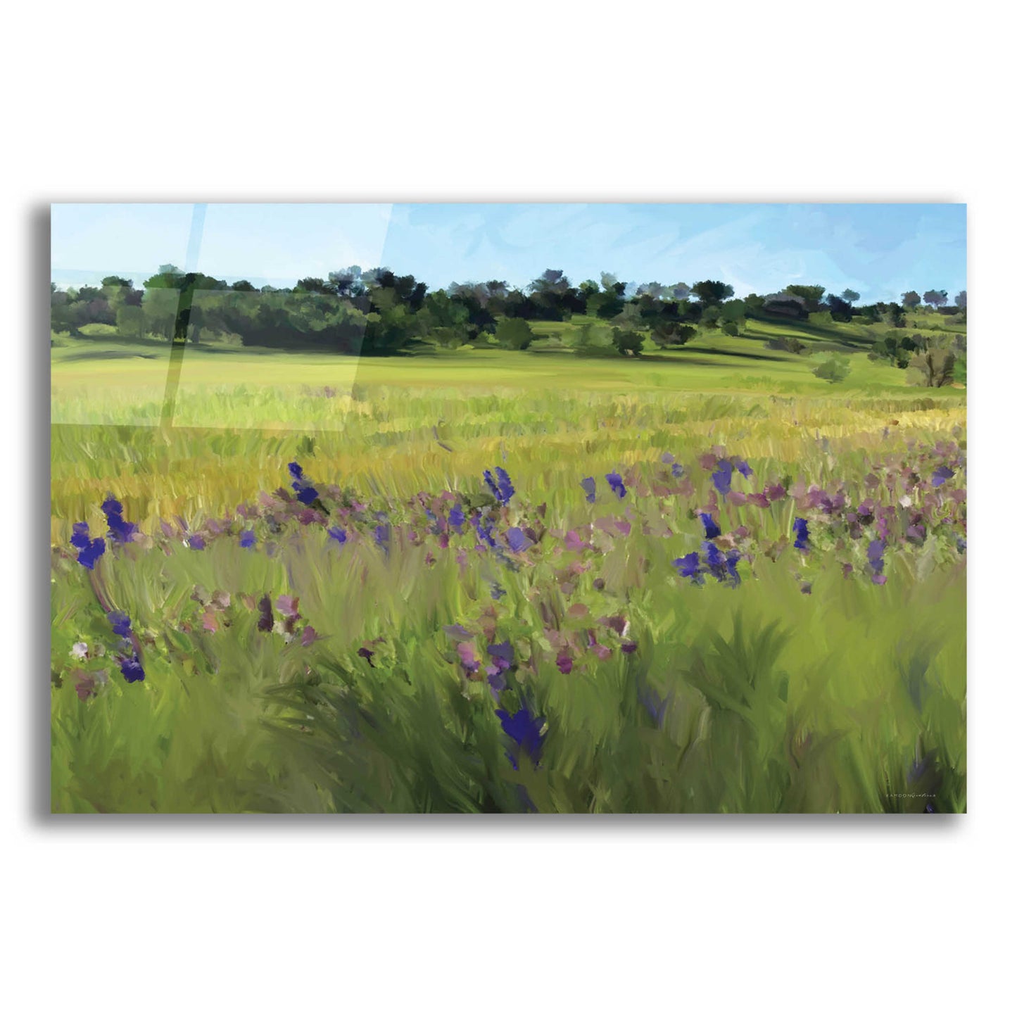 Epic Art 'Bidwell Park' by Kamdon Kreations, Acrylic Glass Wall Art,24x16